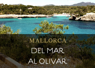 DEL MAR AL OLIVAR