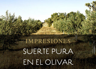 IMPRESIONES